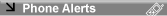 Access to Alerts to mobile phones
